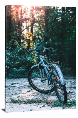CW6336-bicycles-bike-in-the-woods-00