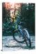 Bike in the Woods, 2017 - Canvas Wrap