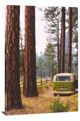 CW6114-cars-van-in-the-forest-00