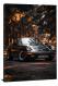 Car in the Woods, 2020 - Canvas Wrap