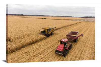CW6121-heavy-equipment-corn-harvest-00