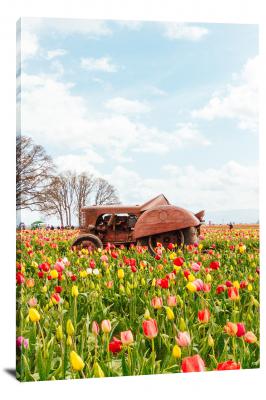 Tulip Festival Tractor, 2019 - Canvas Wrap