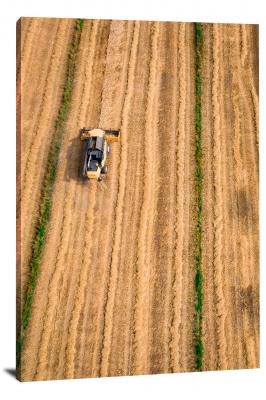 Tractor Mowing Lines, 2017 - Canvas Wrap