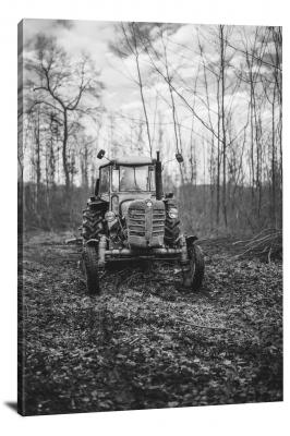 Old Tractor in the Woods, 2021 - Canvas Wrap