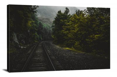 CW6246-trains-train-tracks-in-the-forest-00
