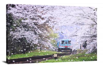Train in the Blossoms, 2021 - Canvas Wrap
