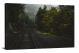 Train Tracks in the Forest, 2018 - Canvas Wrap