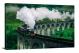 Steam Train in Glenfinnan Viaduct, 2021 - Canvas Wrap
