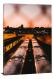 Looking at trains, 2019 - Canvas Wrap