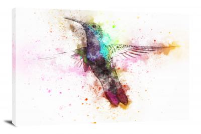 CW7709-animals-colorful-painted-bird-00