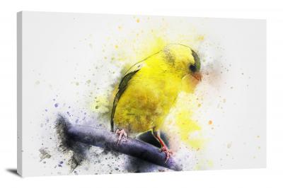 Bird on a Branch, 2017 - Canvas Wrap