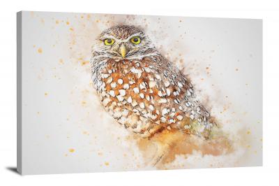 Owl, 2017 - Canvas Wrap