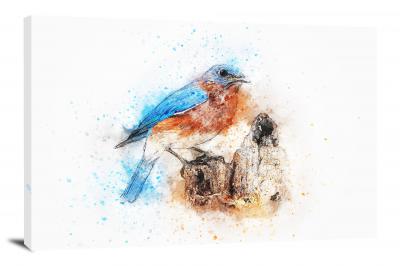 Blue and Orange Bird, 2017 - Canvas Wrap