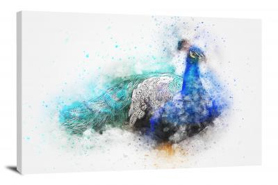 Blue Peacock, 2017 - Canvas Wrap