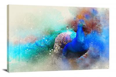 Blue and Teal Peacock, 2017 - Canvas Wrap