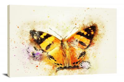 Black and Orange Butterfly, 2017 - Canvas Wrap