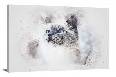 White Cat With Blue Eyes, 2017 - Canvas Wrap