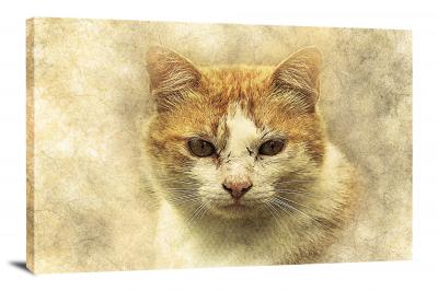 Yellow and White Cat, 2017 - Canvas Wrap