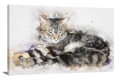 CW7758-animals-sleeping-cat-00