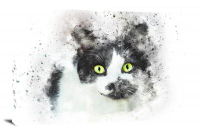 Black and White Cat With Yellow Eyes, 2017 - Canvas Wrap