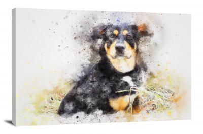 Rottweiler, 2017 - Canvas Wrap