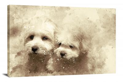CW7778-animals-two-white-dogs-00