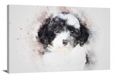 CW7787-animals-black-and-white-puppy-00