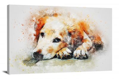Dog Laying on its Paws, 2018 - Canvas Wrap