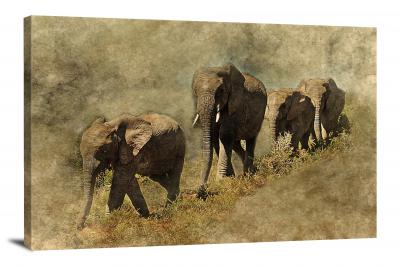 Elephants, 2017 - Canvas Wrap