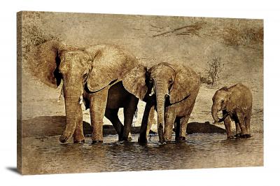 Elephant Family, 2017 - Canvas Wrap