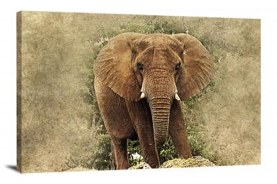 Big Elephant, 2017 - Canvas Wrap