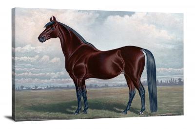 Lone Horse, 2014 - Canvas Wrap