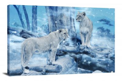 Lions in the Snow, 2017 - Canvas Wrap