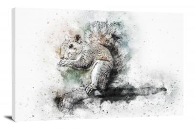 Squirrel, 2017 - Canvas Wrap