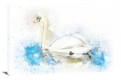 Swimming Swan, 2017 - Canvas Wrap