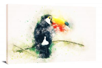 Toucan Bird, 2017 - Canvas Wrap
