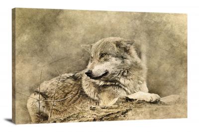 Wolf, 2017 - Canvas Wrap