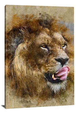 Hungry Lion, 2018 - Canvas Wrap