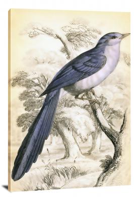 CW7858-animals-bird-sitting-on-a-branch-00