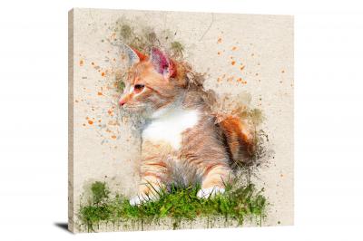 CW7865-animals-orange-and-white-cat-00