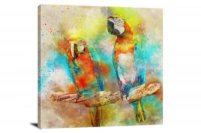 CW7875-animals-two-parrots-00