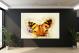 Black and Orange Butterfly, 2017 - Canvas Wrap2