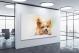 Fluffy Dog, 2017 - Canvas Wrap1