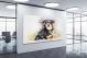 Rottweiler, 2017 - Canvas Wrap1