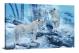 Lions in the Snow, 2017 - Canvas Wrap