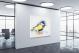 Blue and Yellow Bird, 2017 - Canvas Wrap1