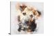Curious Pup, 2017 - Canvas Wrap