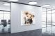 Curious Pup, 2017 - Canvas Wrap1