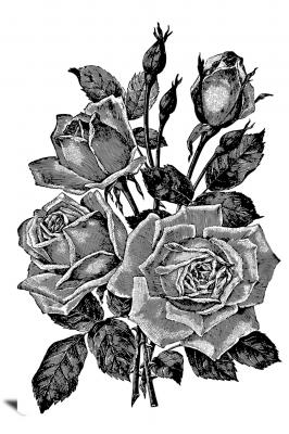 Gray Roses, 2020 - Canvas Wrap