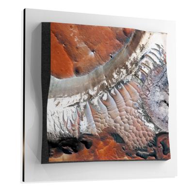 Noctis Labyrinthus, Mars 3D Raised-relief Marscape Decor